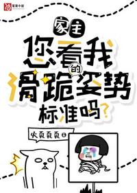 花豹突击队