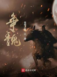 箱子里的山海经