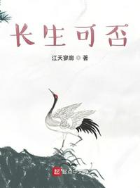 DC家的骑士